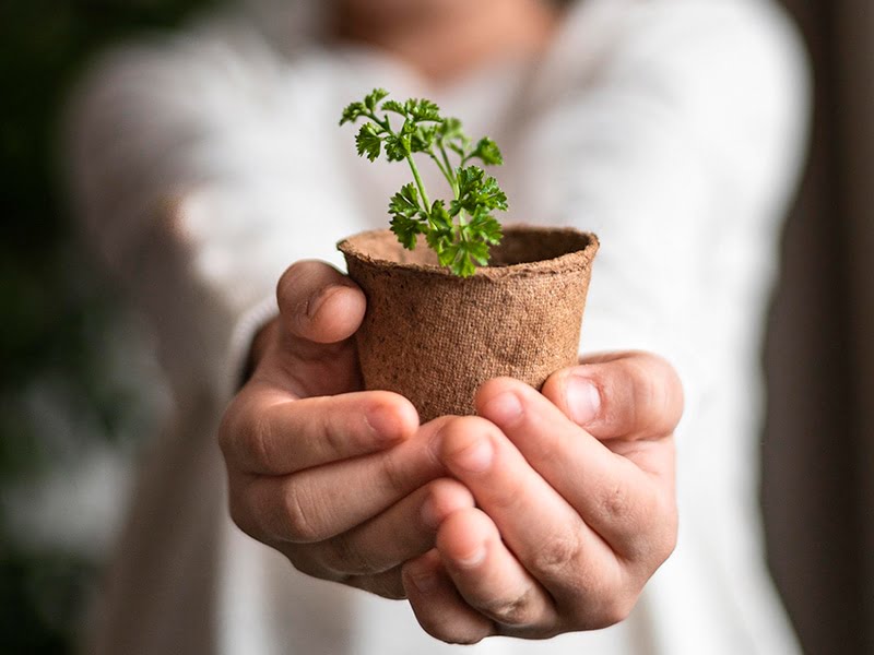 Nosotros Renova Nosotros Renova